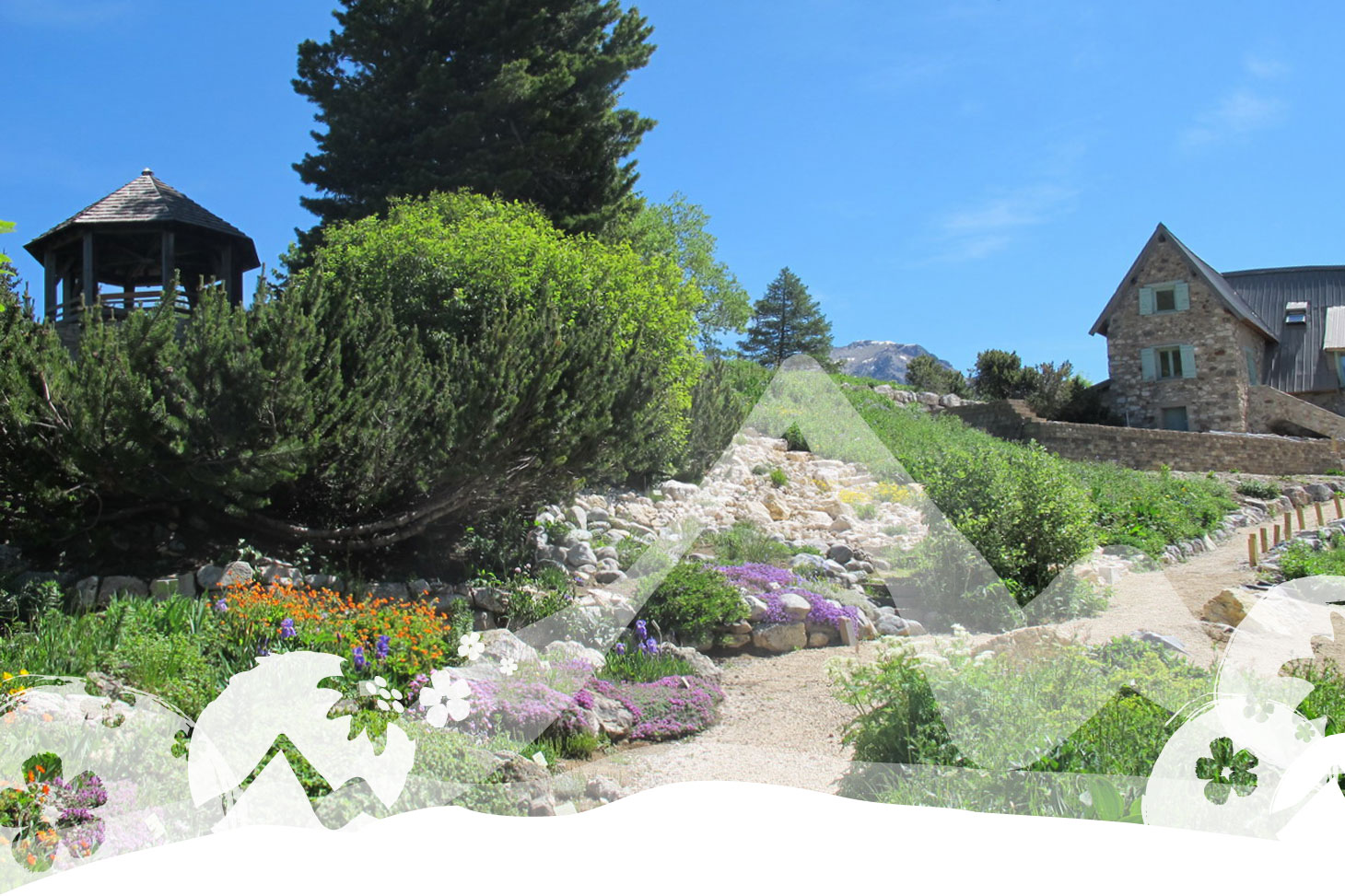 le jardin du Lautaret, ouvert du 1er week-end de juin au 1er week-end de septembre