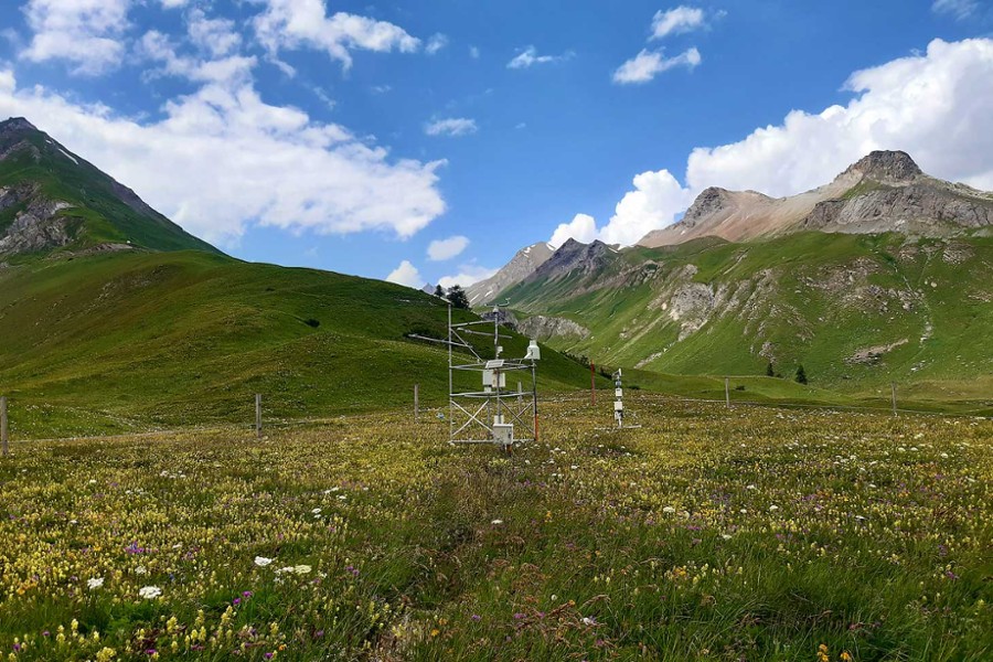 Flore-Alpe au fil de l'eau, journée portes ouvertes au Jardin alpin